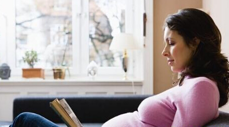 ׼������Ķ�̥�̷�