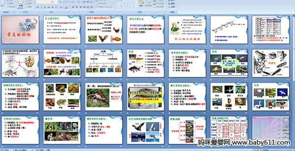 �����Ķ���