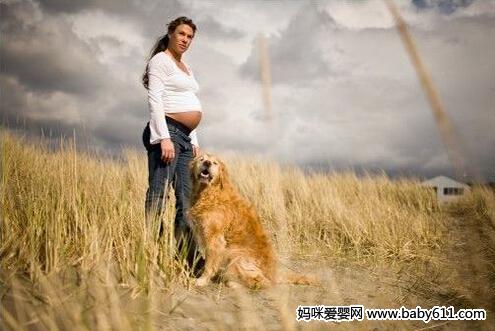 孕妇可以养宠物吗？