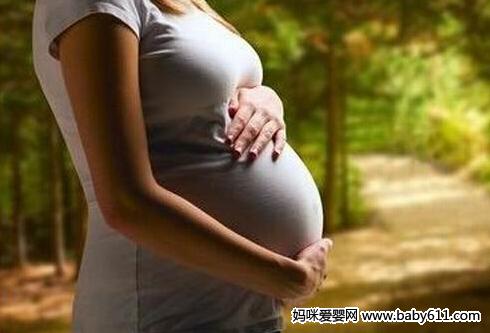 ��7��̥���ص㣺����̥��