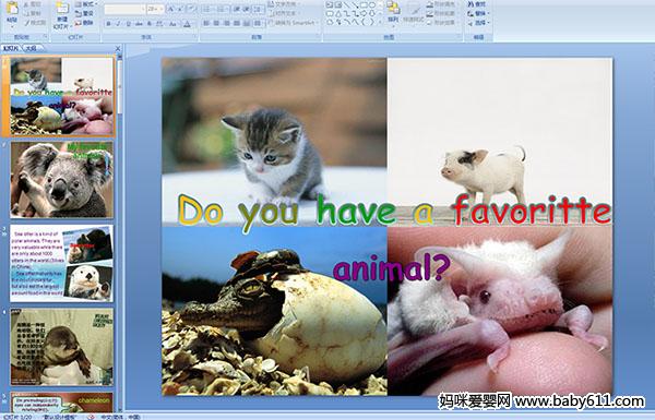 ٶӢμDo you have a favoritte animal?