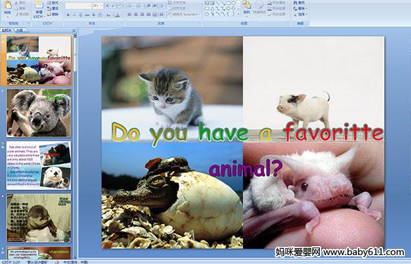�ٶ�Ӣ��μ���Do you have a favoritte animal?��