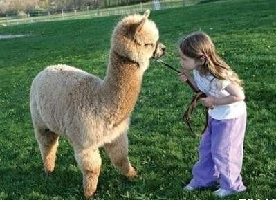 ��������ҵĥ����ô�죿