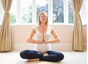 �������������˶�̥�̵�����