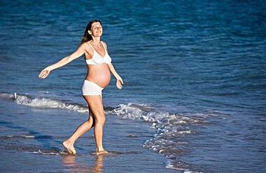 ׼������13��Ӧɢ��̥��