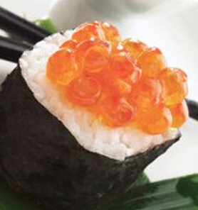 ɽ������