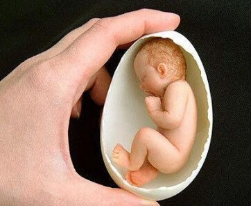 ����ǰ����Ż���Ļ���