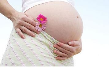 ������Ӧ�ñ�����������