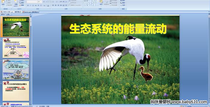 生态系统的能量流动