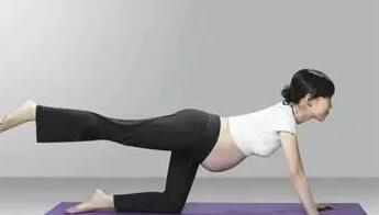 ������ȷ�˶���������