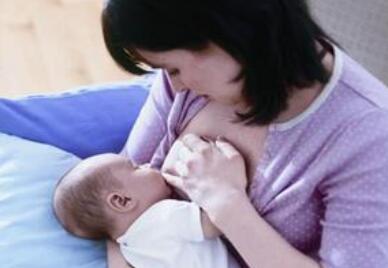 ���������ʳ