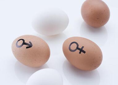 ��ǰ��Թ���ʳ�������к�