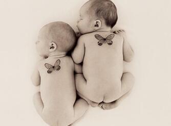 �����������ι����