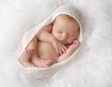 ��������ι��