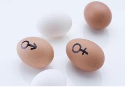 ��������Ů���ɰ�����ǰ���򲡶�������