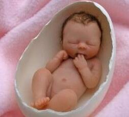 ׼����Ӧ��֪�������������֪ʶ