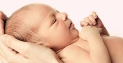 ��������ĸ��Ա��������