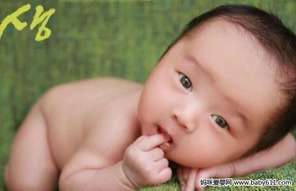 ��ͥʽ�����������������