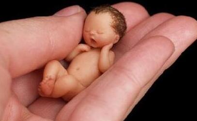 ���ڸ�Ԥ��������Σ��Ч���������أ�