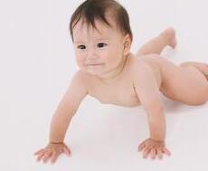 ����ô������ι���������