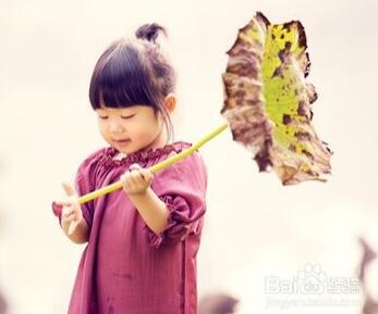 �׶�԰�׶���Ԫ���ܵ�����