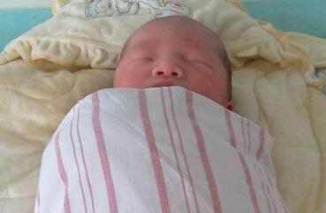 ��ڴ������������