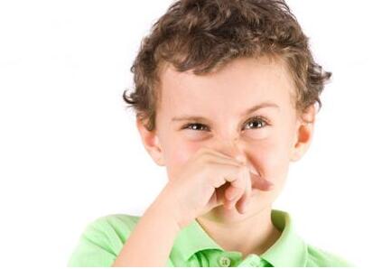 ������������Ƶ������������ЧԤ��