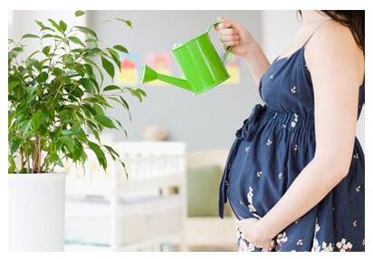 ����������������ܵ�ÿһ������� 