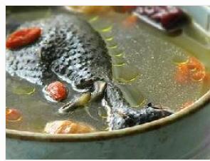 �ڼ������̲���