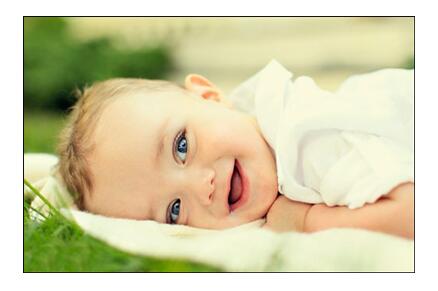 Ӥ�������Ӹ���λ���