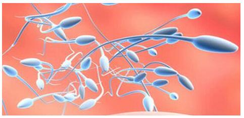 Ů�������˹�����