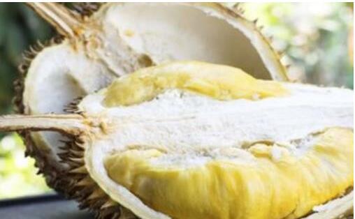 ��������������ٳ���3��ˮ�� �����