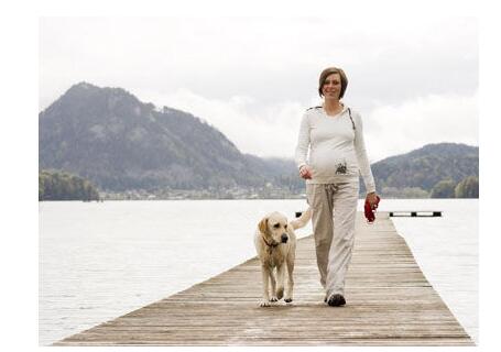 �˶�̥�̵�ʮ��ô�