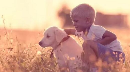 ����С�˿ڵ�6������