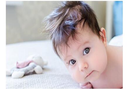 ĸ��ι������������