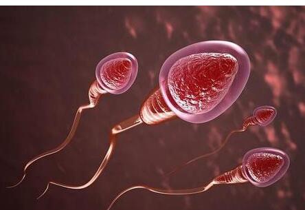 优生有哪些禁忌