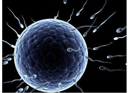 人工受孕要注意什么