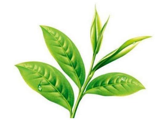 ��ͯ��ʳ���ɣ���Щʳ��һ��Ҫ����ע����