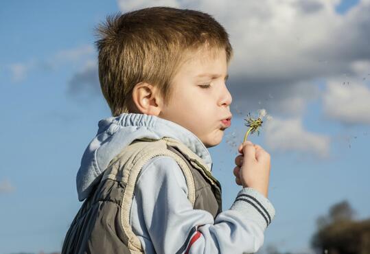 ��С���� �ú�����������ϰ��