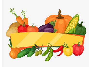 家长怎样培养孩子的健康饮食