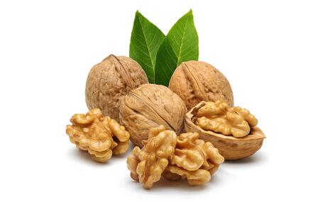 �ʺ����ڼӲ͵�����ʳ��