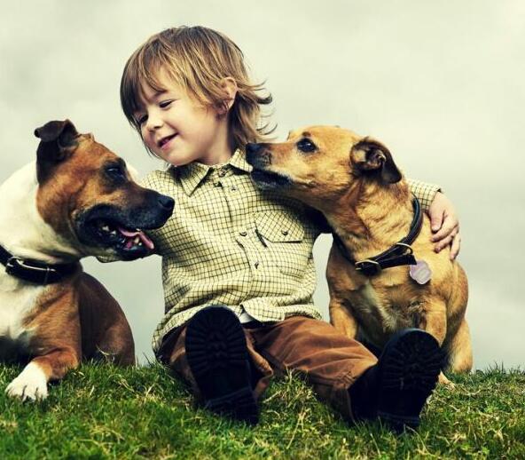 ������ܰһ��