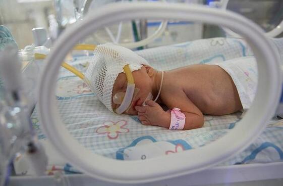 ������������ģ���Щι��Ҫ��Ҫ��ס