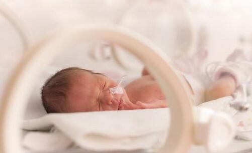 ���������������Ҫ�˽���Щ����Ҫ��