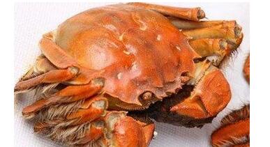 ���к������ʳ�ﲻ��ʳ��