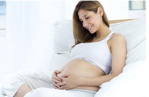 ���������ڣ���Щ��������������������