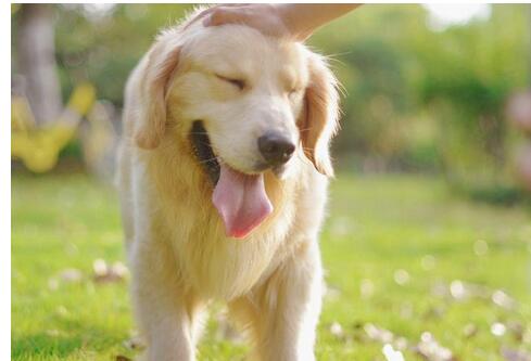 备孕路上要注意的五个问题