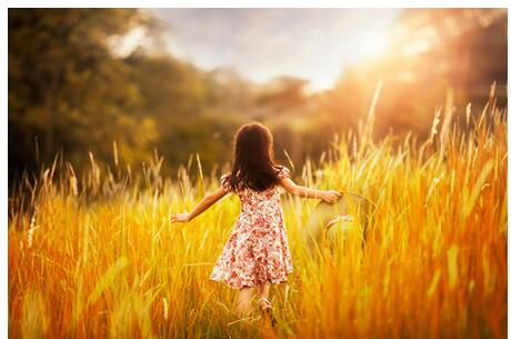 �����������������