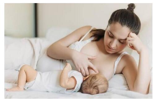 ������ιĸ�������С����