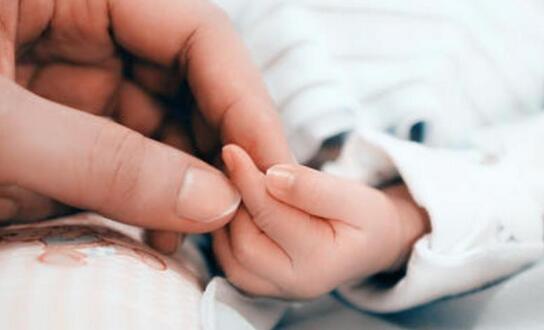 生男生女的关键是什么?